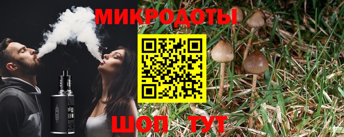Галлюциногенные грибы ЛСД  Вход с VPN  Псилоцибиновые грибы Psilocybine cubensis  Менделеевск 